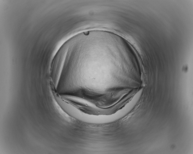 X0000090631532200708141423