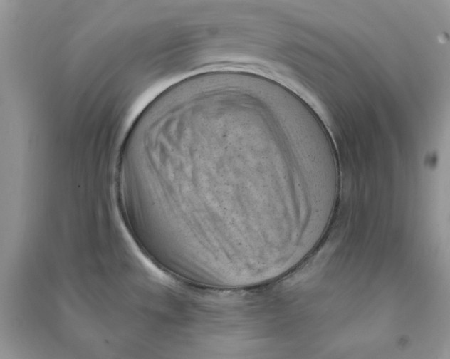 X0000090631533200708141423