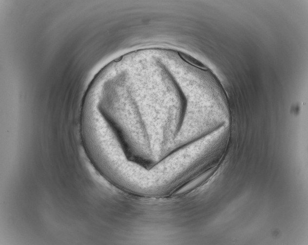 X0000090631534200708141423