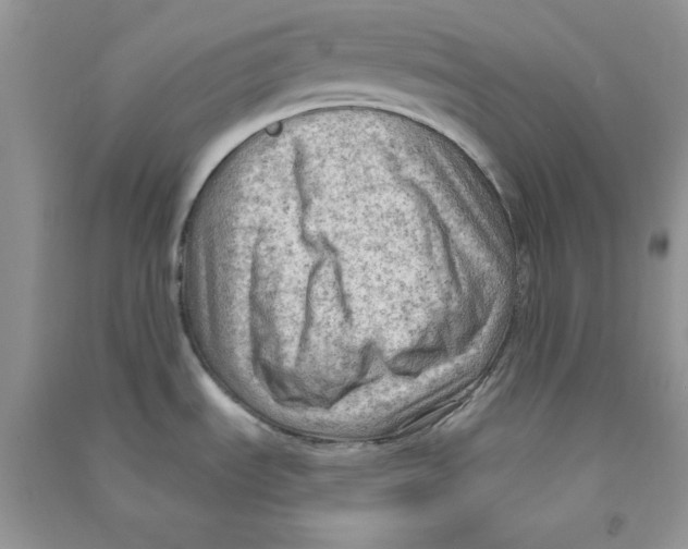 X0000090631535200708141423