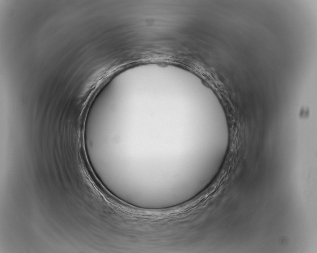 X0000090700002200707200939