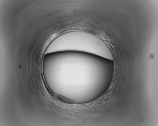 X0000090700003200707200939