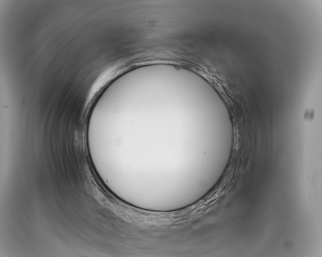 X0000090700004200707200939