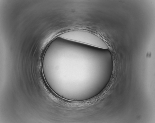 X0000090700005200707200939