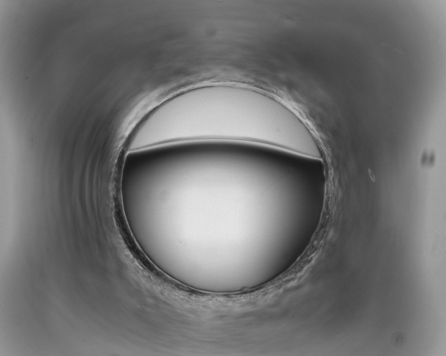 X0000090700007200707200939