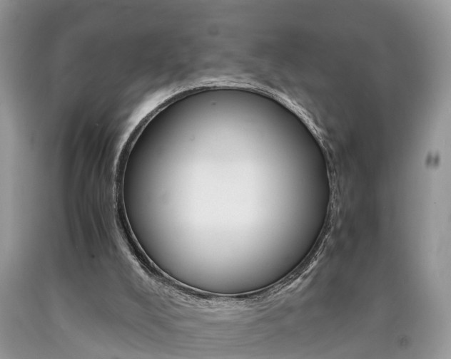 X0000090700008200707200939