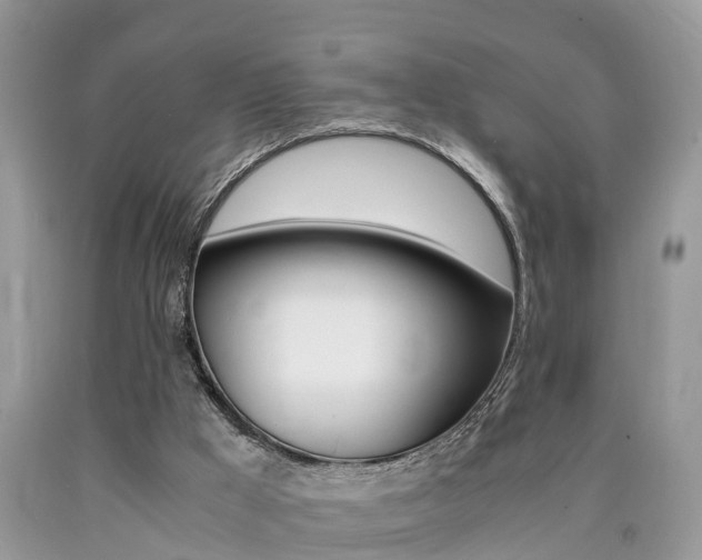 X0000090700009200707200939