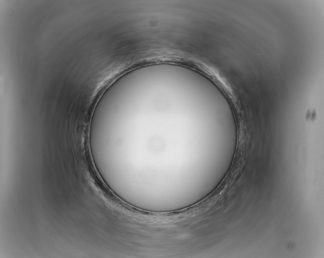 X0000090700010200707200939