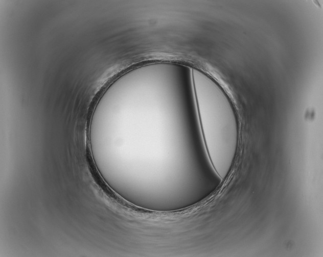 X0000090700011200707200939