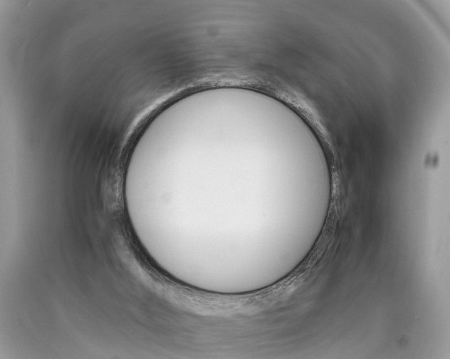 X0000090700012200707200939