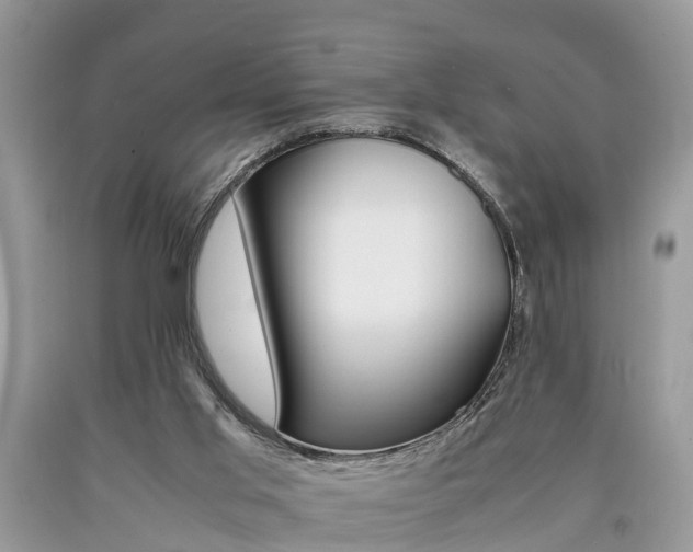X0000090700013200707200939
