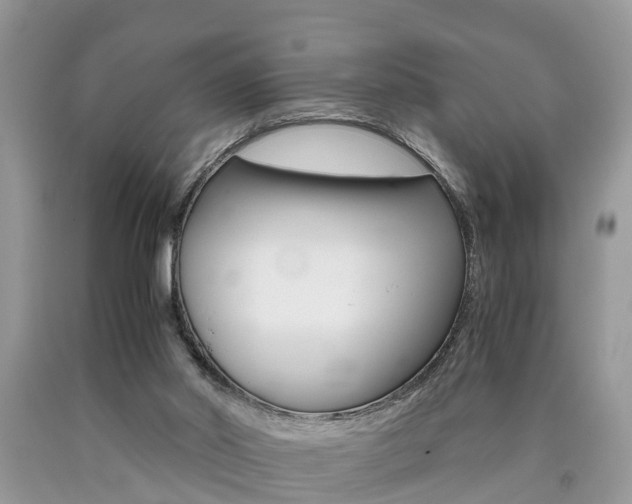 X0000090700014200707200939
