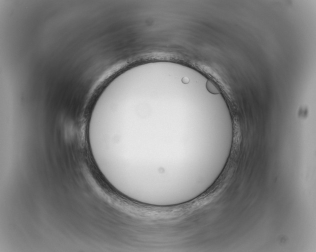 X0000090700016200707200939
