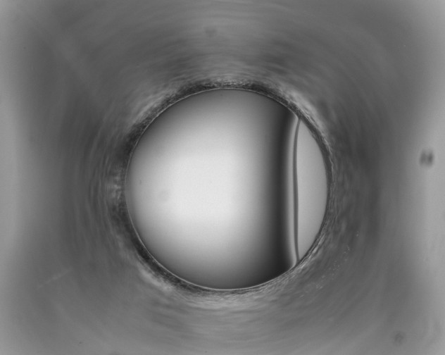 X0000090700017200707200939