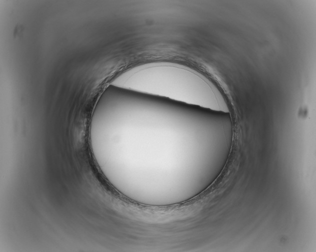 X0000090700018200707200939