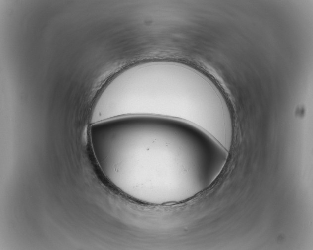 X0000090700019200707200939