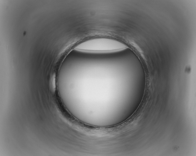 X0000090700020200707200939