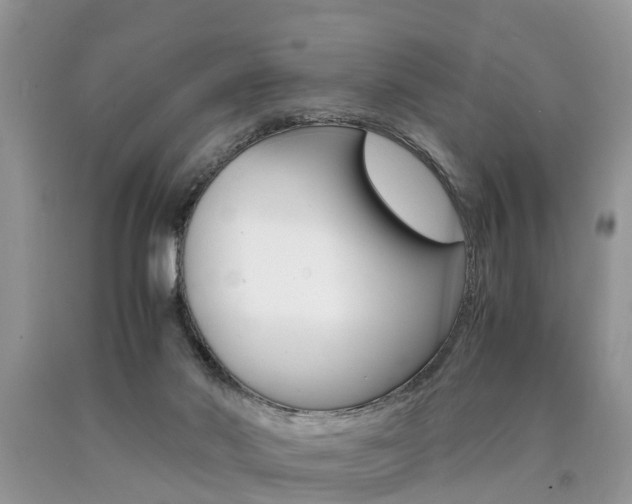 X0000090700022200707200939