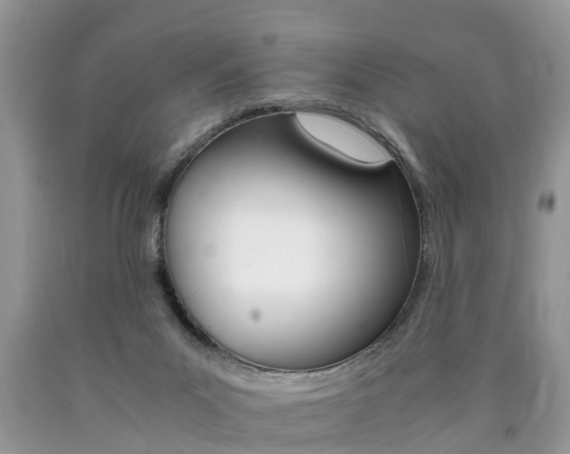 X0000090700023200707200939