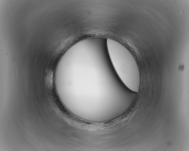 X0000090700024200707200939