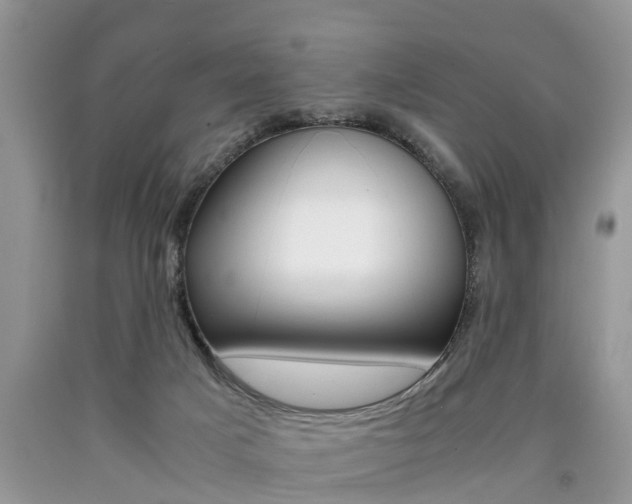 X0000090700025200707200939