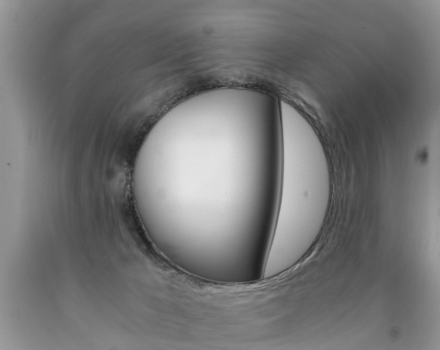 X0000090700029200707200939