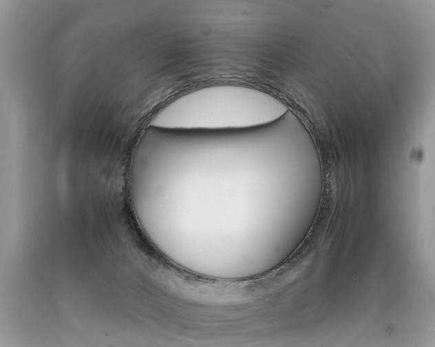X0000090700032200707200939