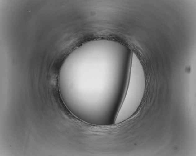 X0000090700033200707200939