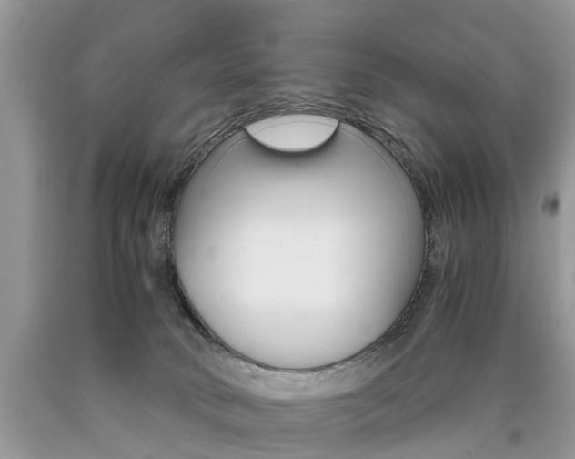 X0000090700034200707200939