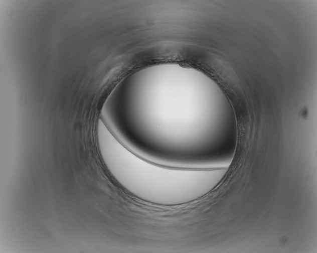 X0000090700035200707200939