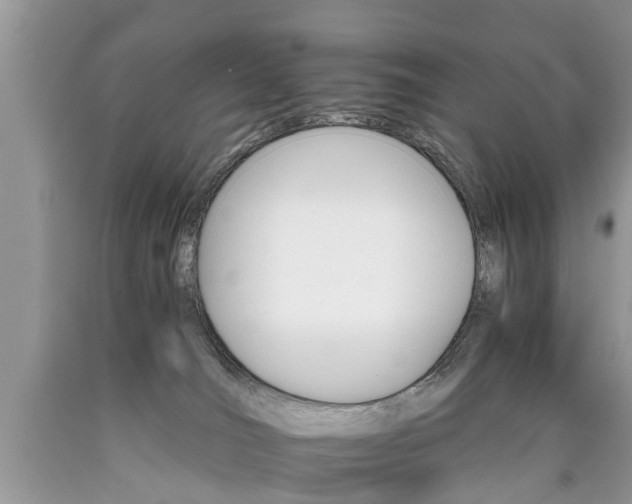 X0000090700036200707200939