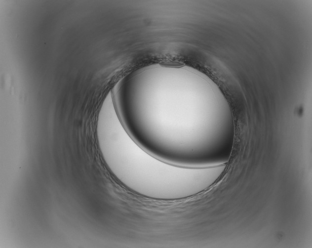 X0000090700037200707200939