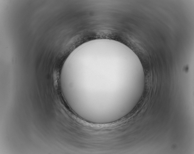 X0000090700038200707200939