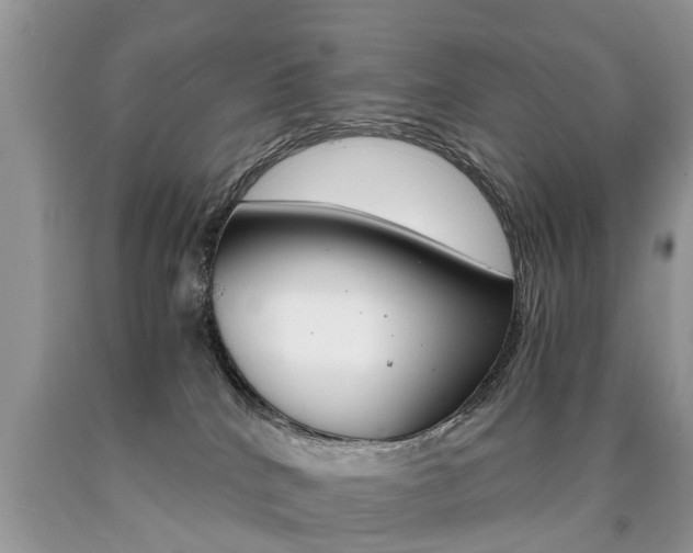 X0000090700040200707200939