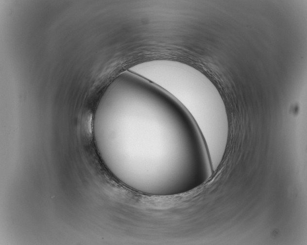 X0000090700041200707200939