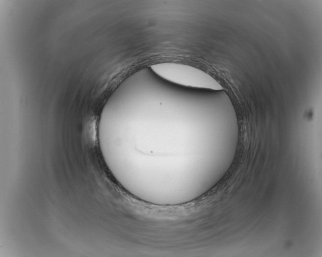 X0000090700042200707200938