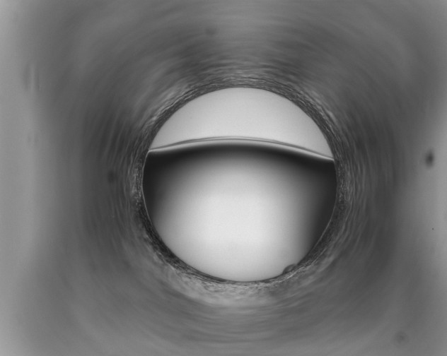 X0000090700044200707200938
