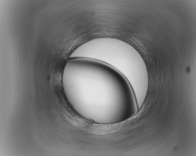 X0000090700045200707200938