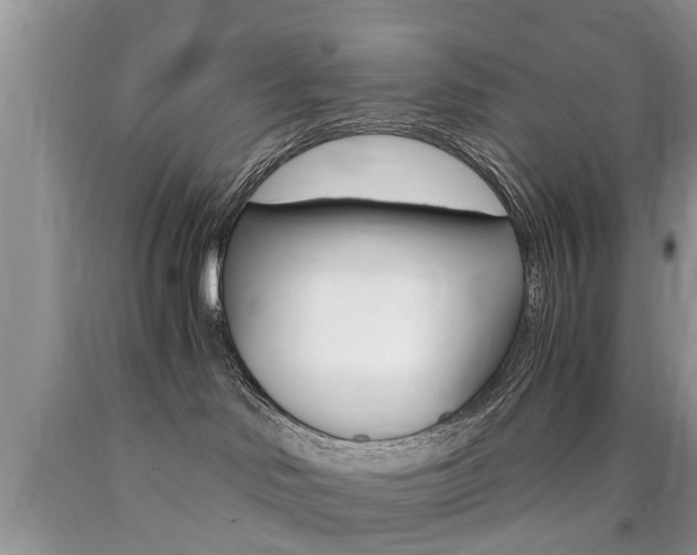 X0000090700046200707200938