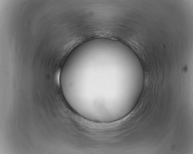 X0000090700047200707200938