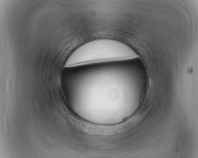X0000090700048200707200938