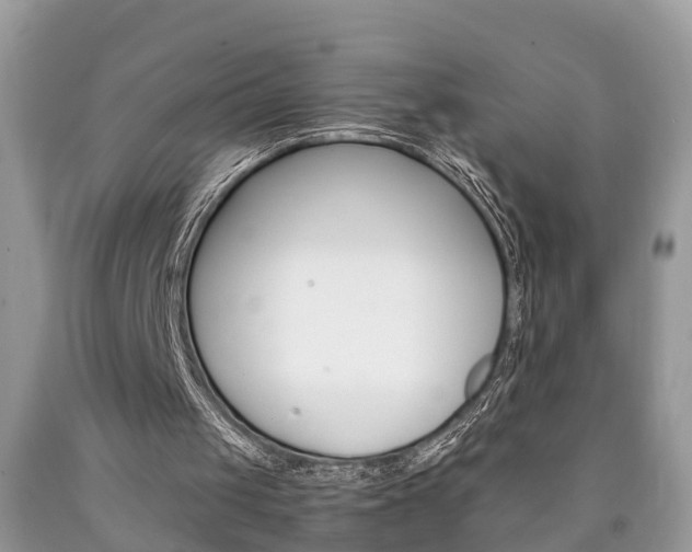 X0000090700049200707200938