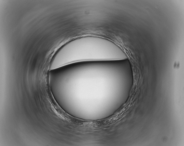 X0000090700050200707200938