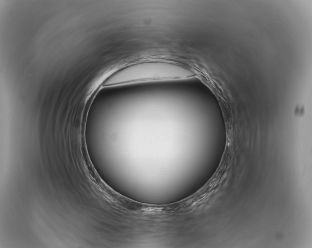 X0000090700052200707200938