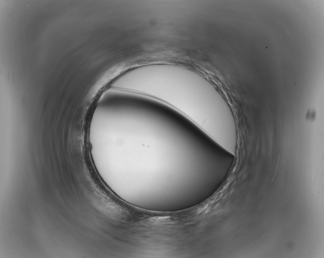 X0000090700054200707200938