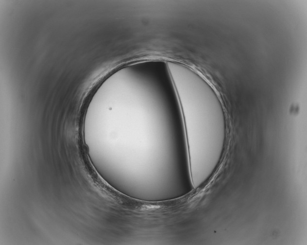 X0000090700055200707200938