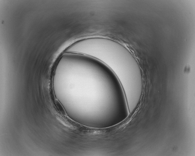 X0000090700056200707200938
