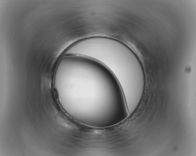 X0000090700060200707200938