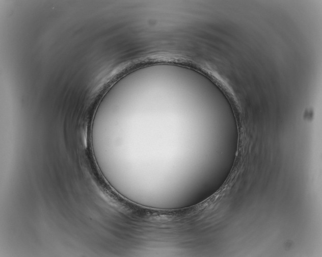 X0000090700062200707200938
