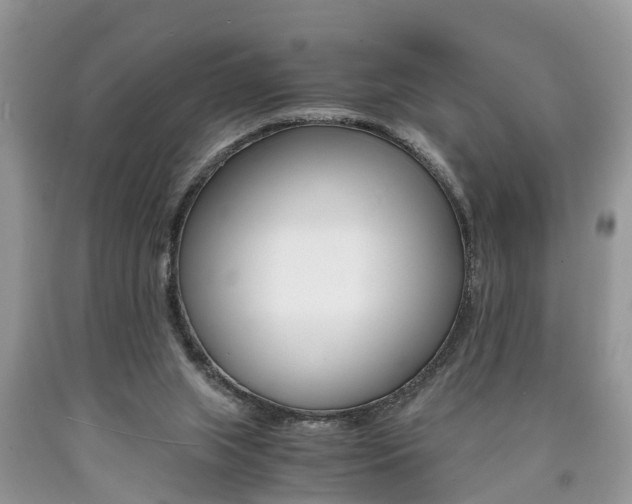 X0000090700063200707200938